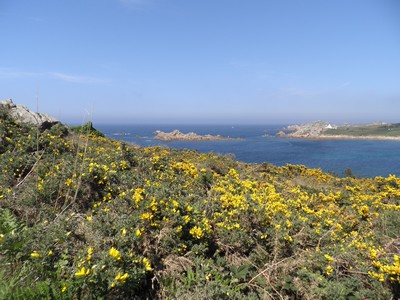gite 2 personnes entre monts arrée et baie de morlaix