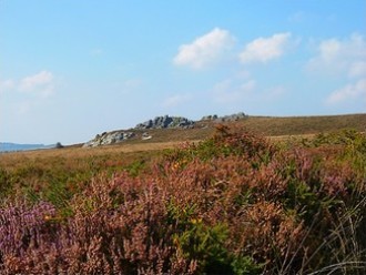 Le gite se trouve dans les Monts d'Arr�e, paysage sauvage avec des roches, des landes, des tourbi�res 
